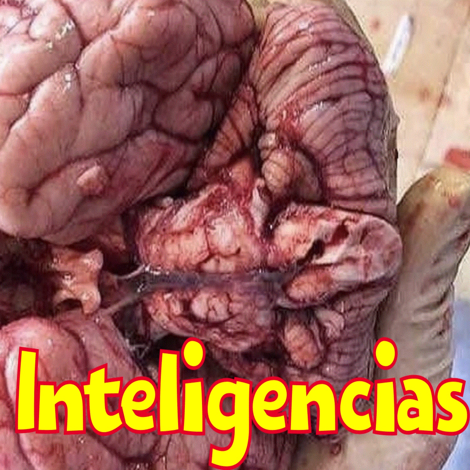 Ya que chucha